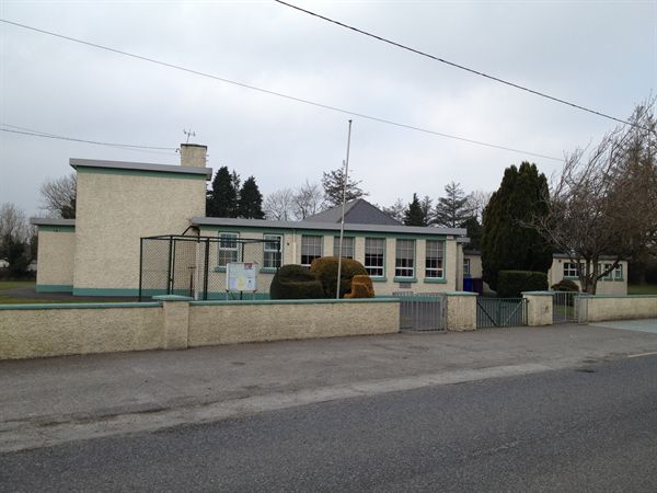 Johnstown P.S Kilkennny 6