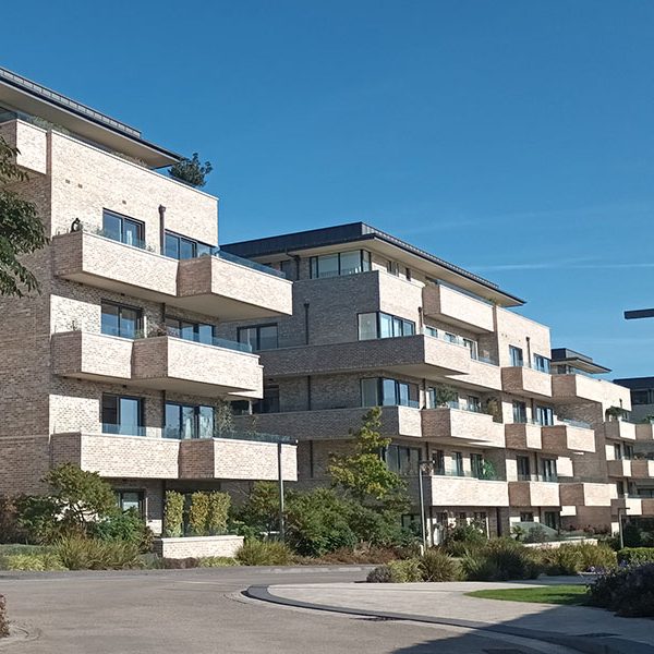 donnybrook1